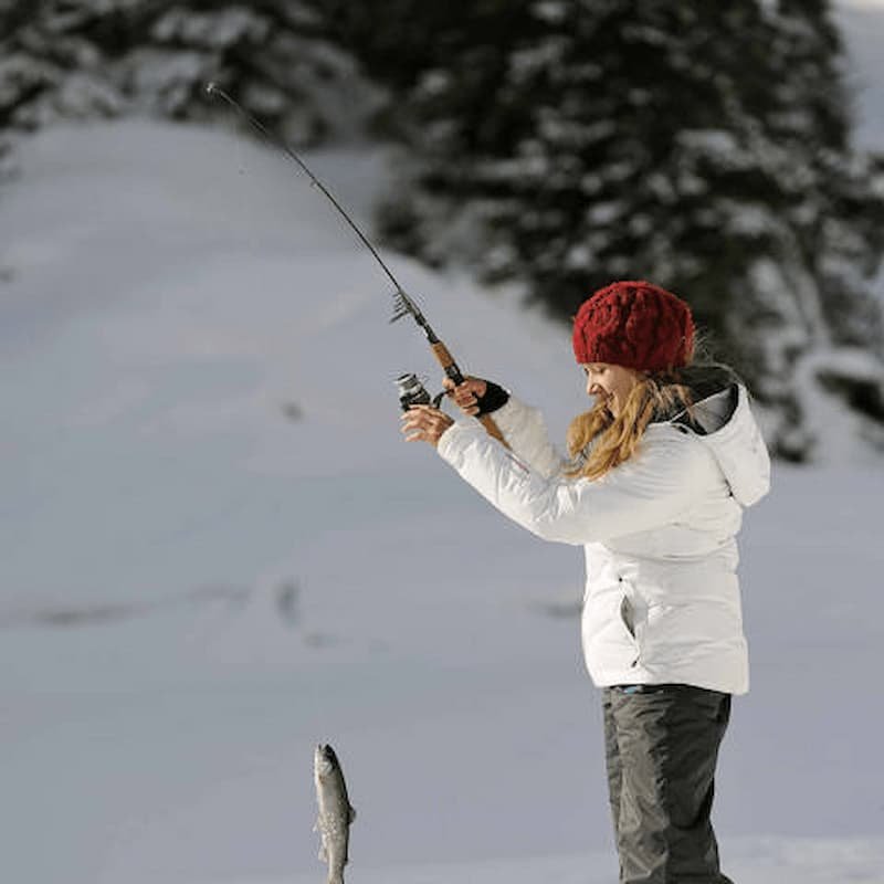 Explore ice fishing game online