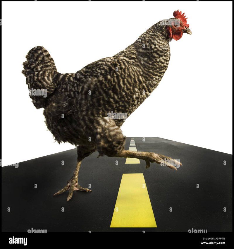 Best chicken road oficial in Spain Best chicken road oficial in Spain