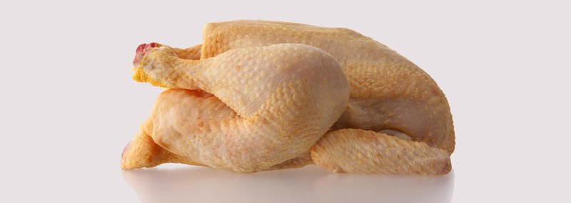 Chicken road casino, chicken road online